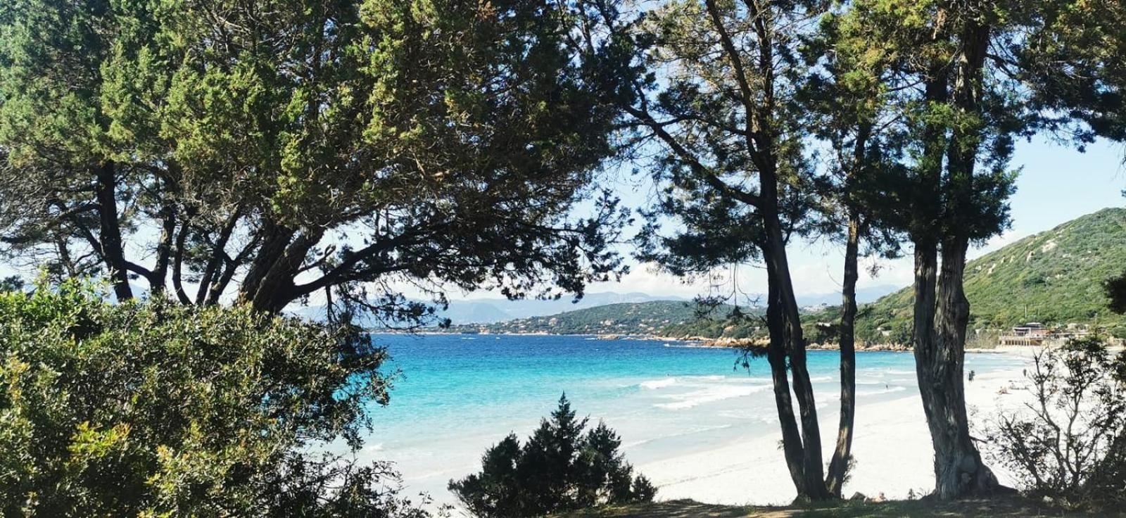 Studio Avec Terasse Vue Mer Портисьо Экстерьер фото